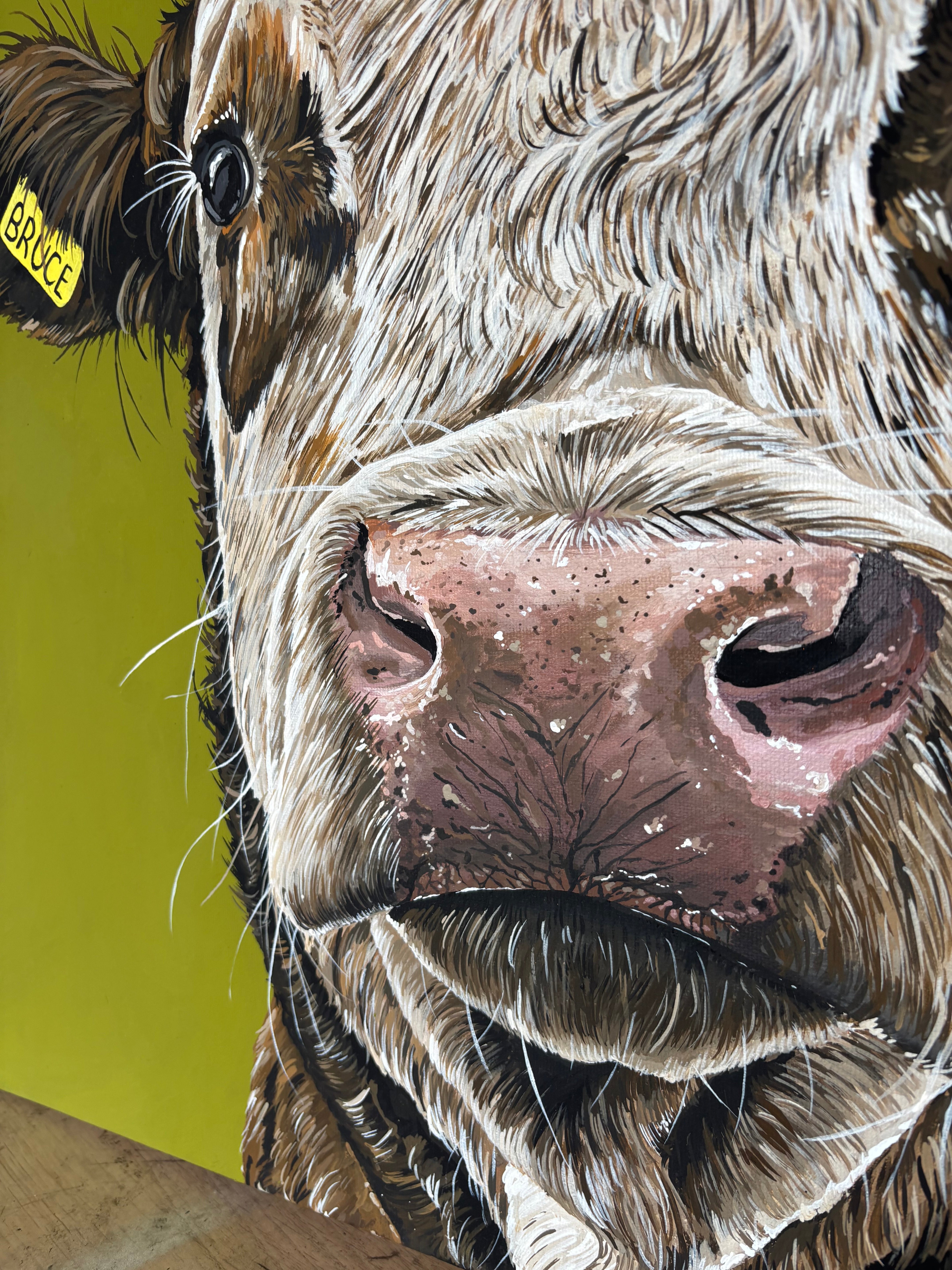 ‘Bruce’ Acrylic Canvas Original