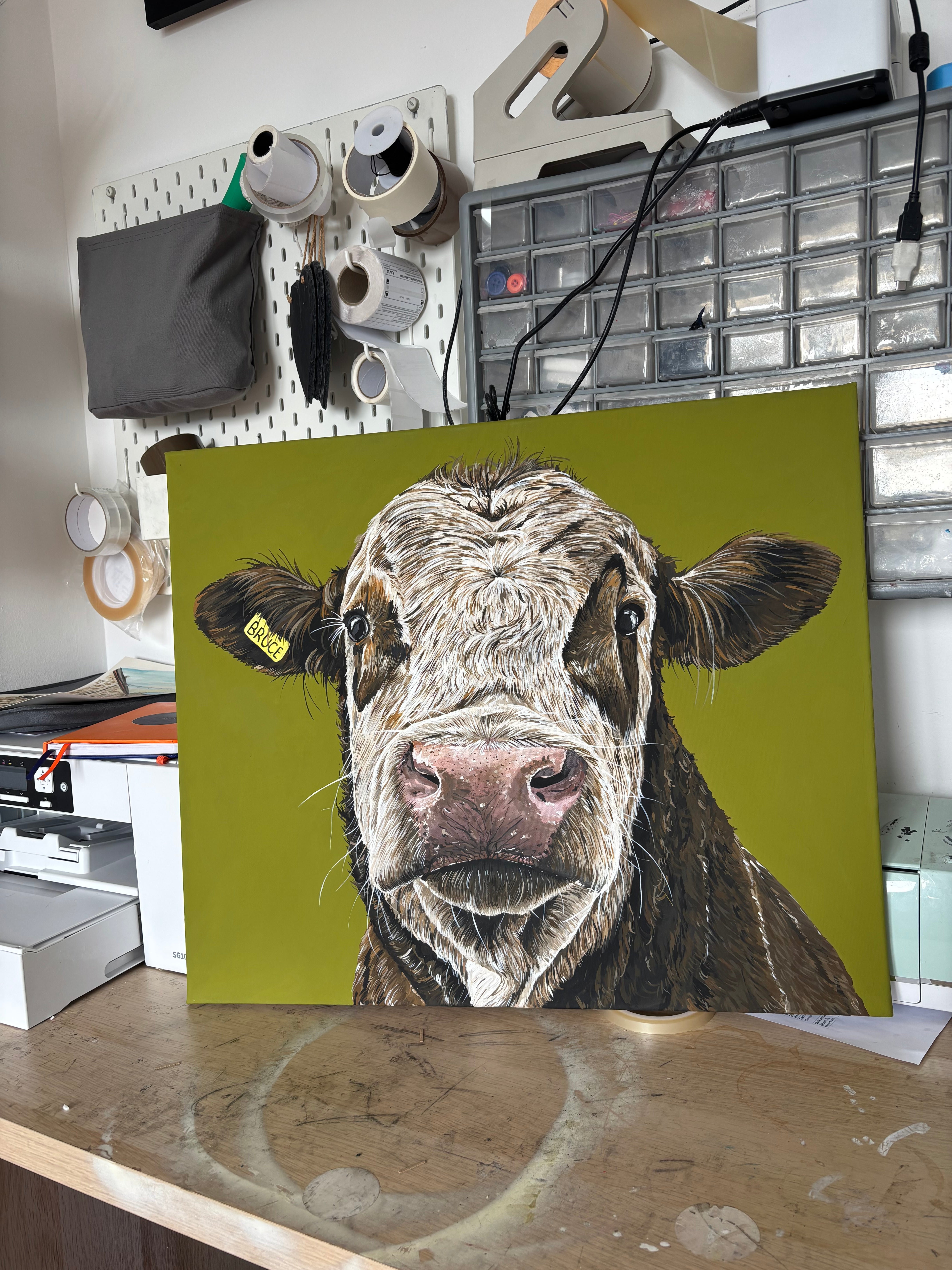 ‘Bruce’ Acrylic Canvas Original