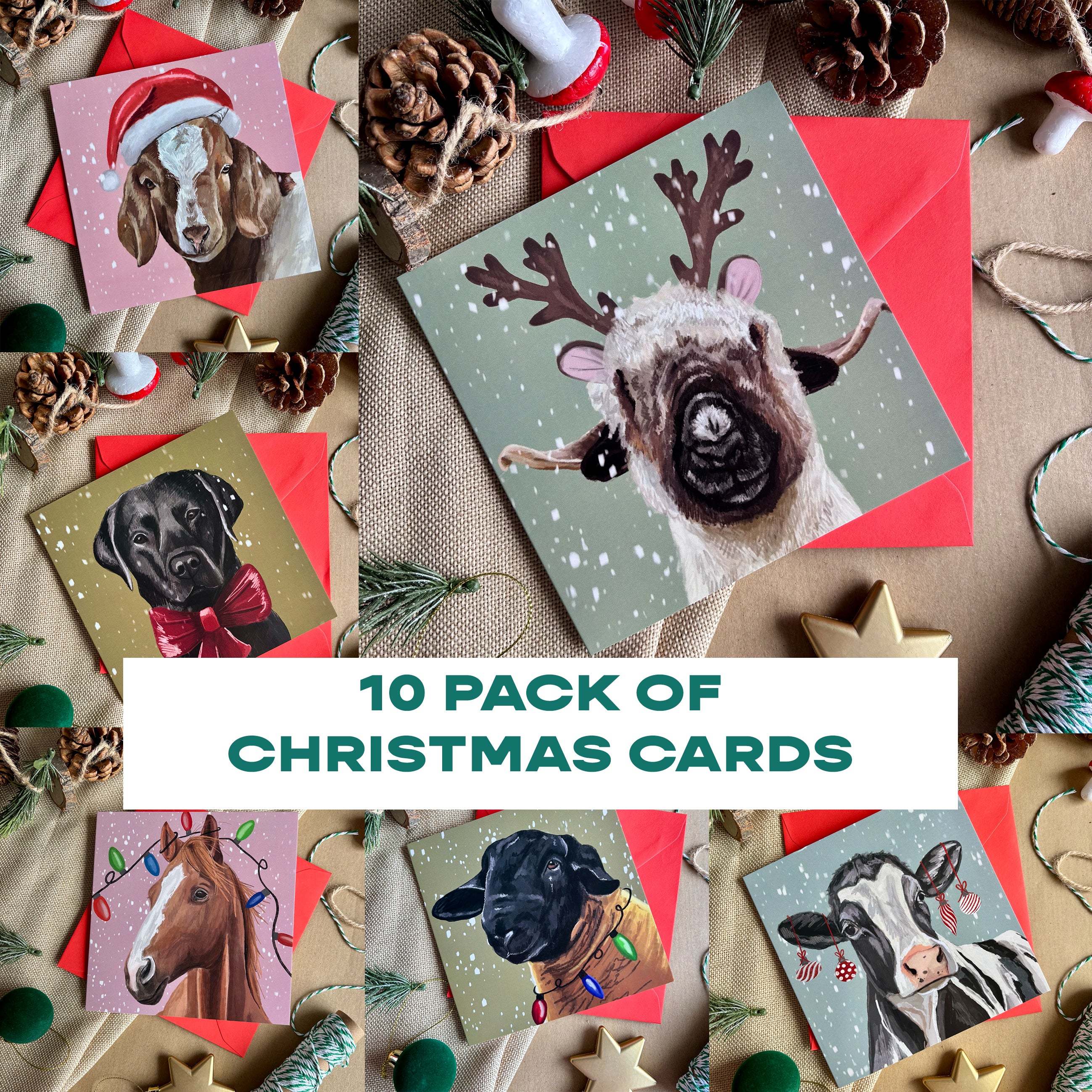 10 Pack of Christmas Cards