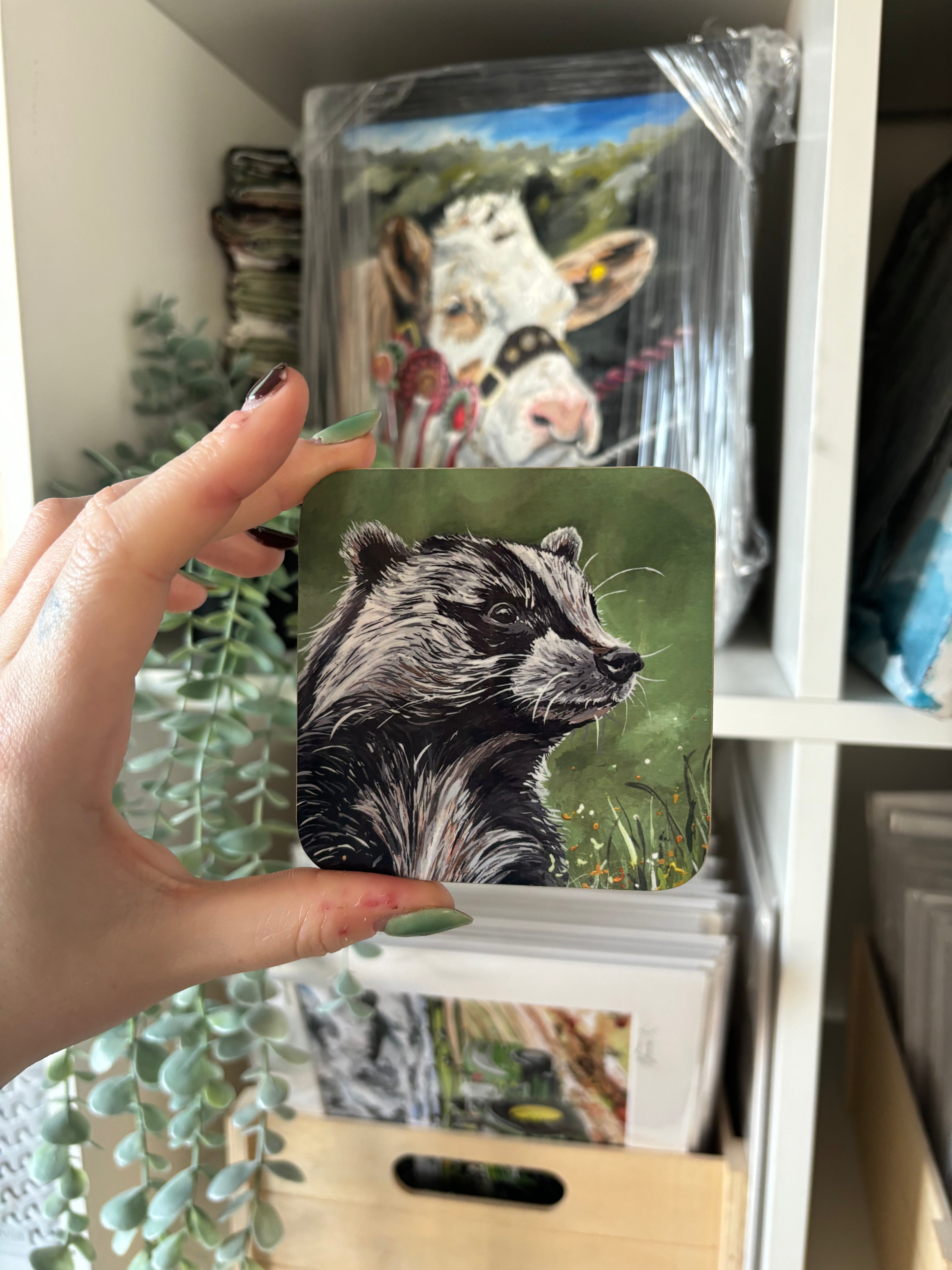 Badger Coaster