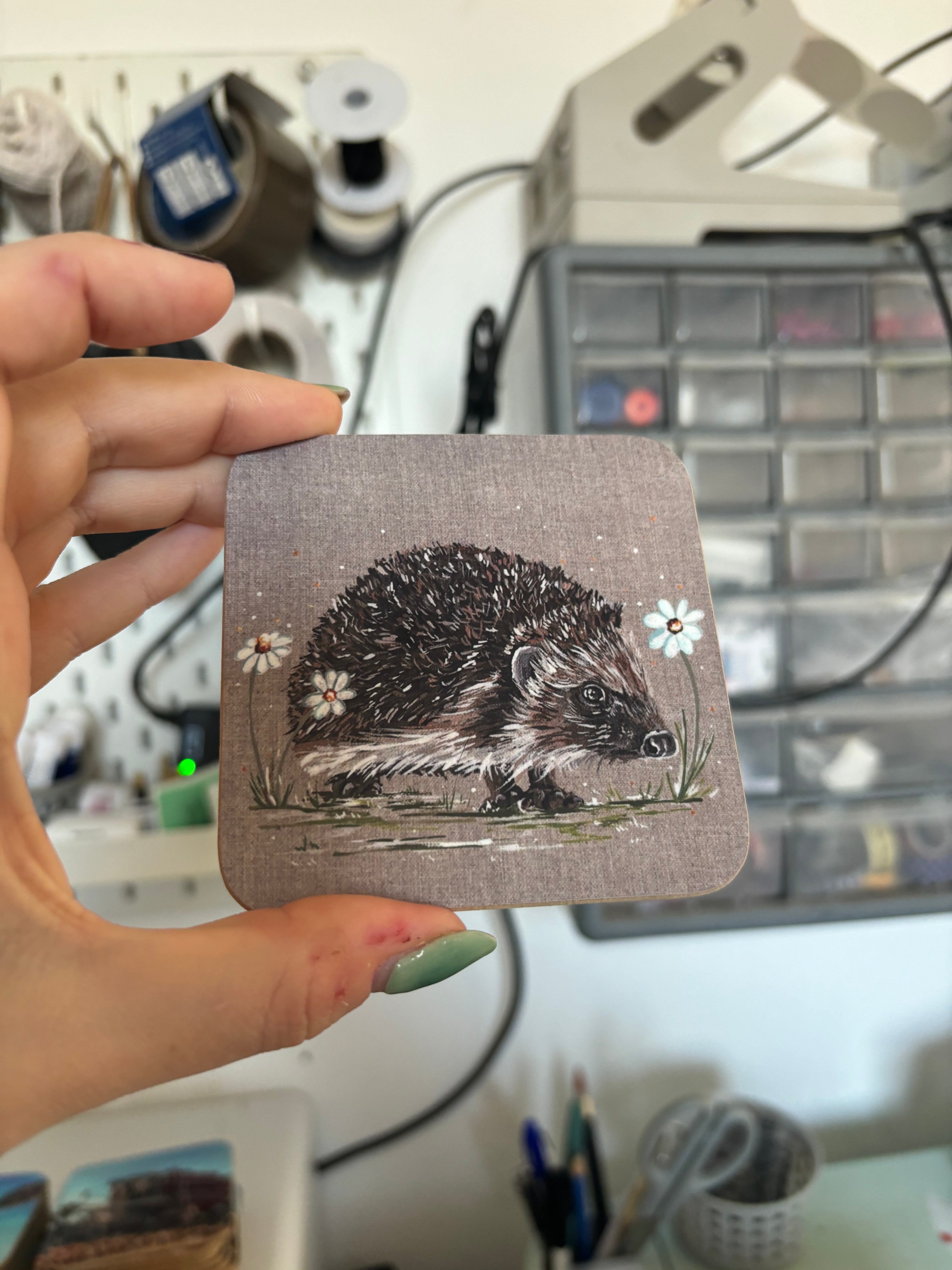 Hedgehog Coaster