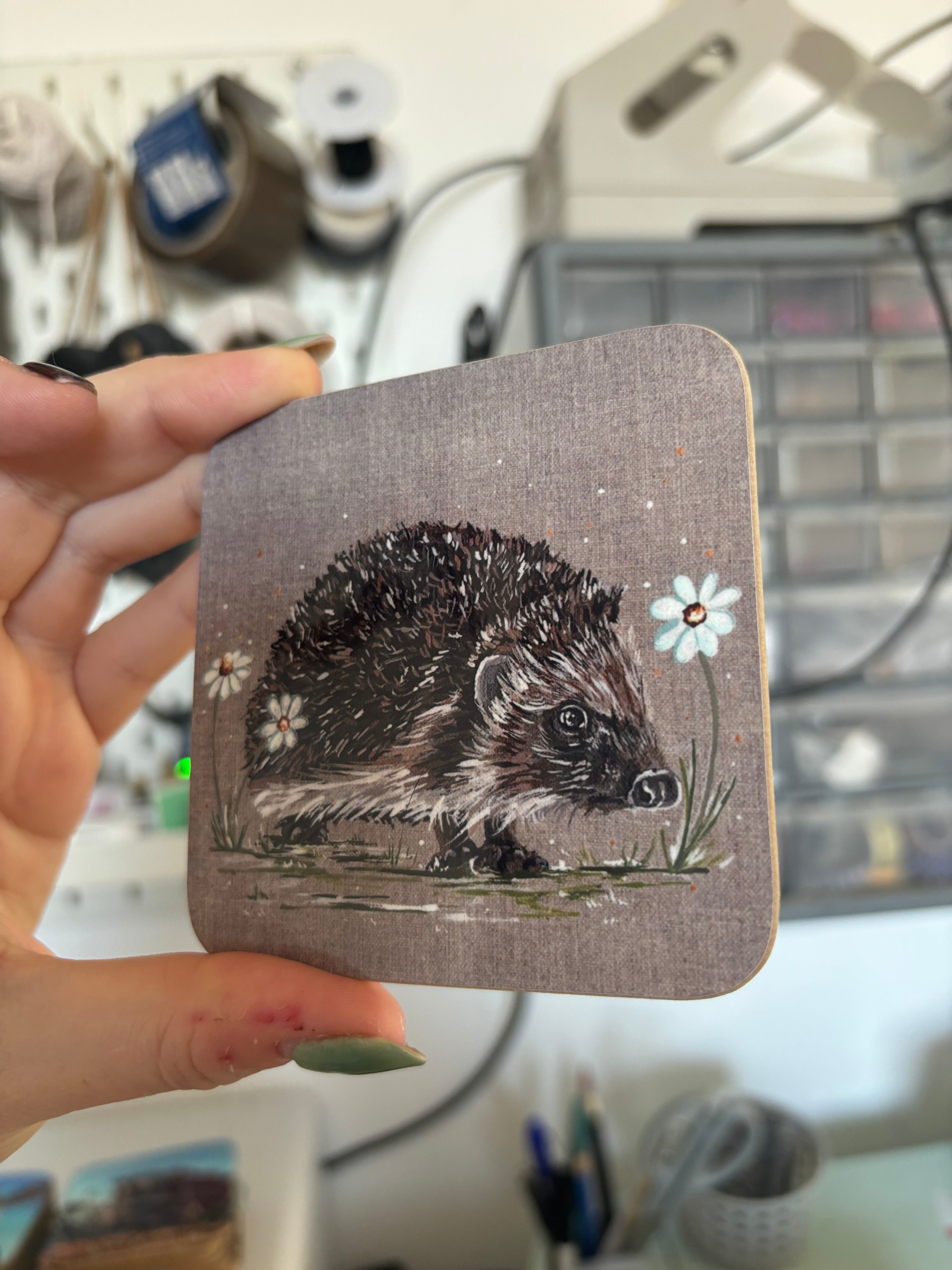 Hedgehog Coaster