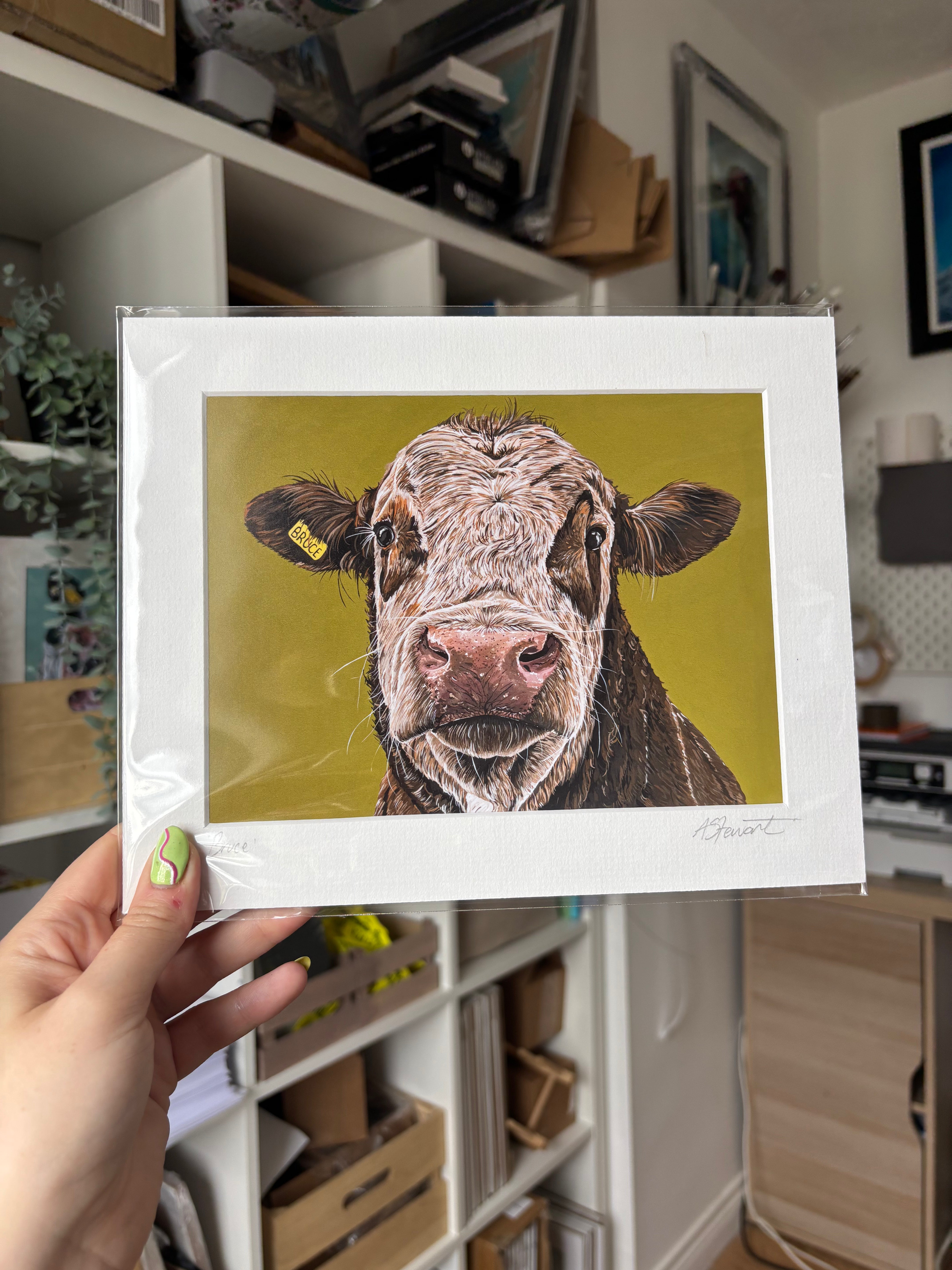 "Bruce" Cow Mounted Print