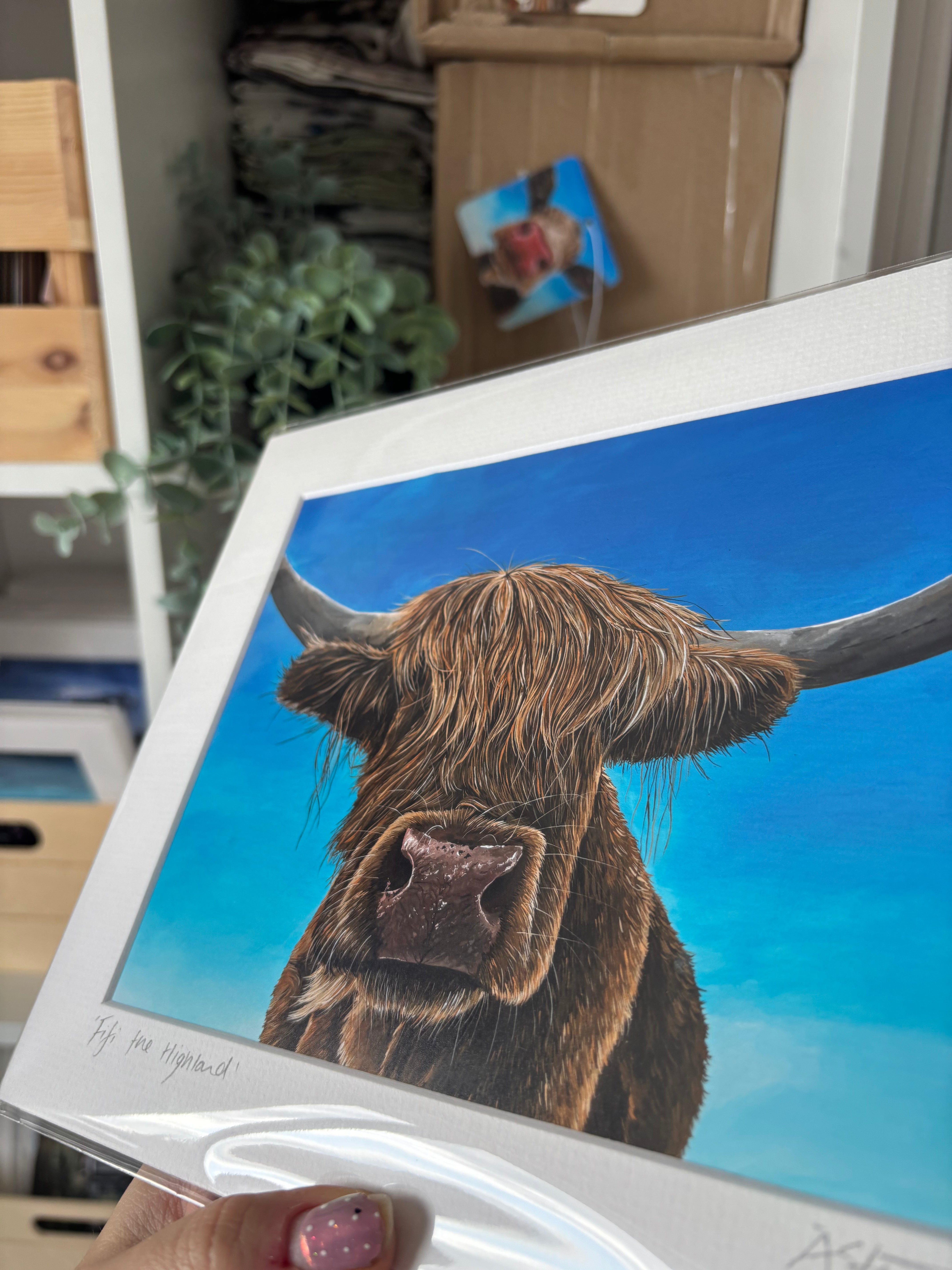 'Fifi" Highland Cow Mounted Art Print