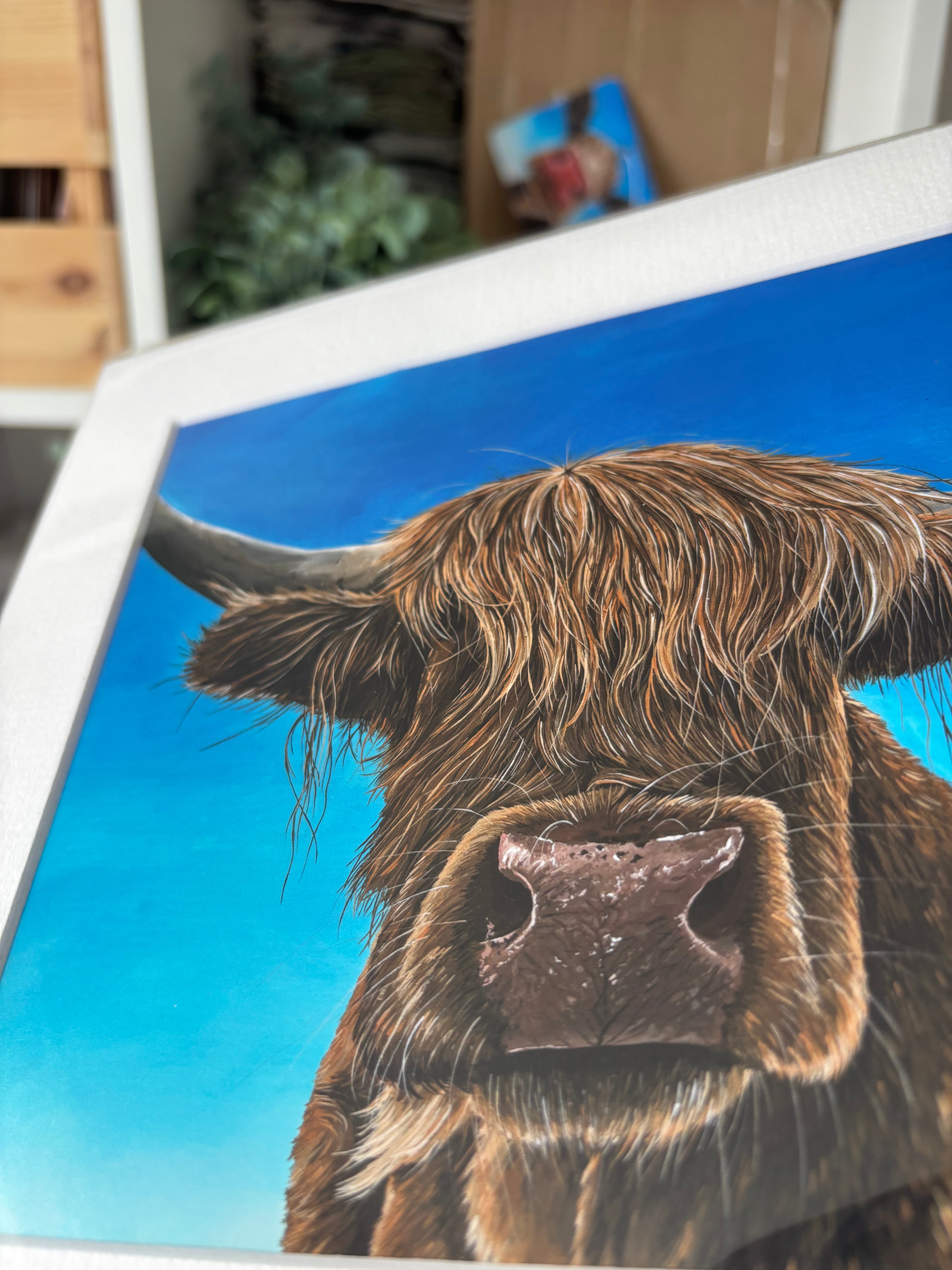 'Fifi" Highland Cow Mounted Art Print
