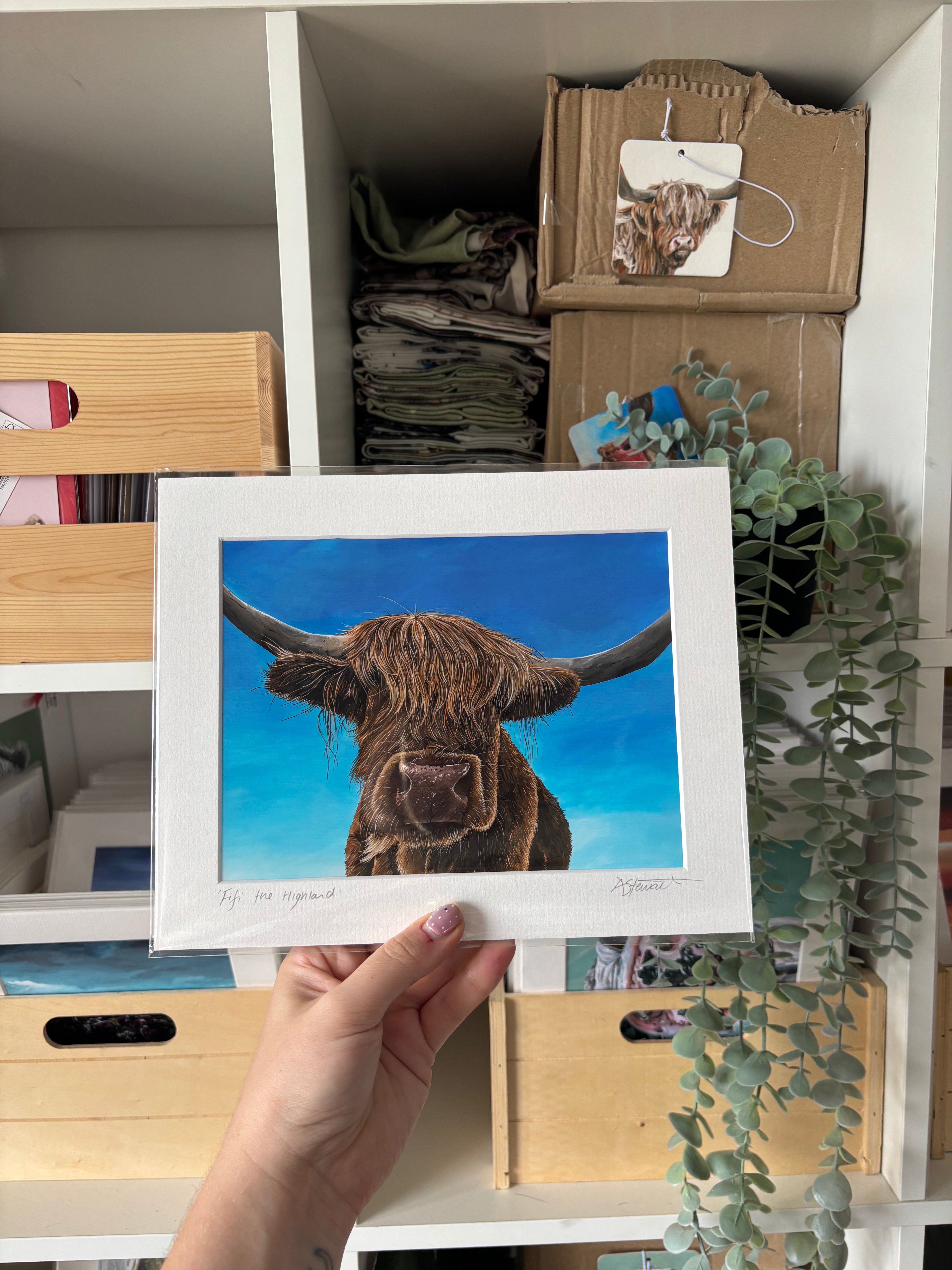 'Fifi" Highland Cow Mounted Art Print