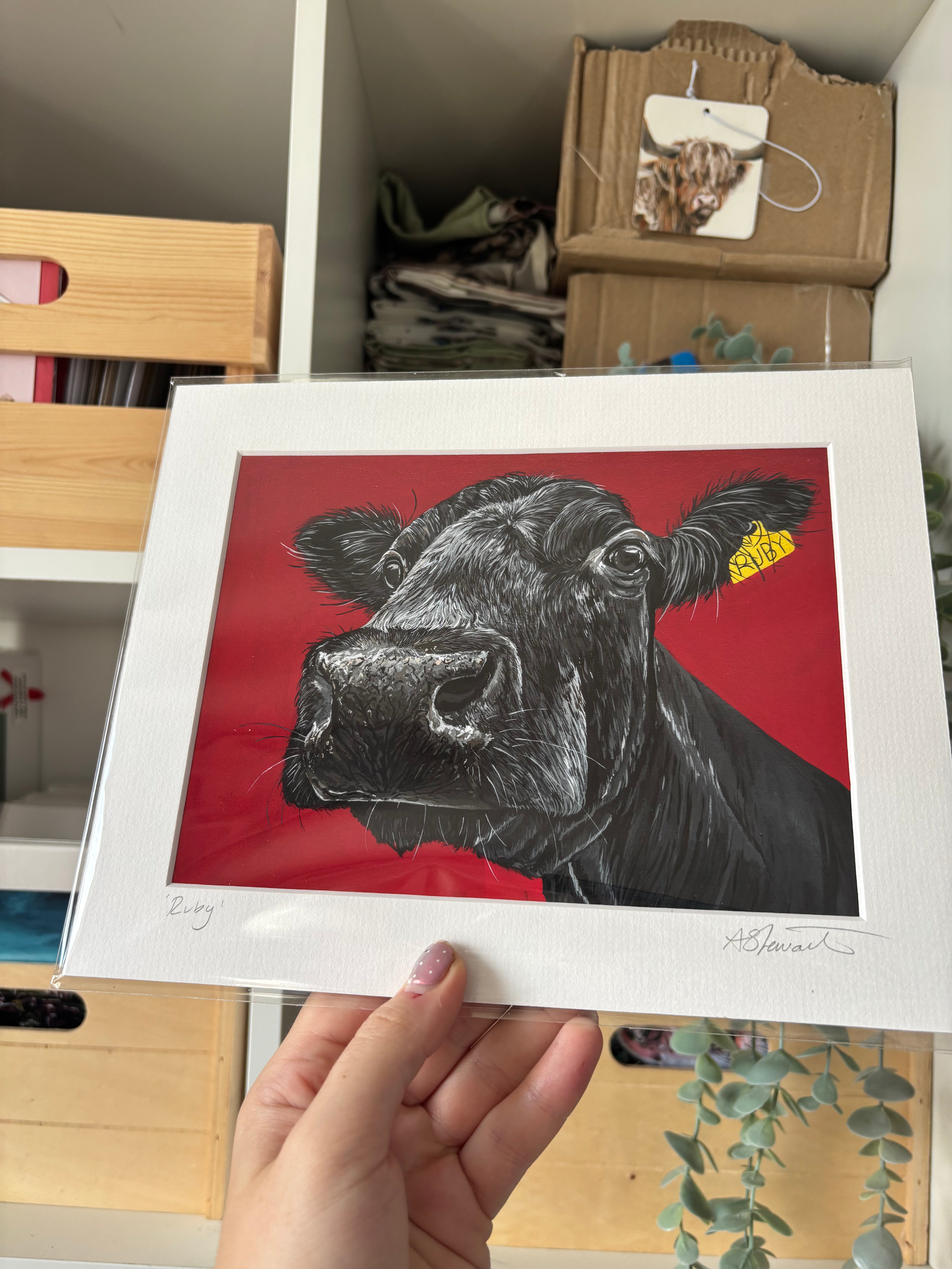 'Ruby' Cow Mounted Print