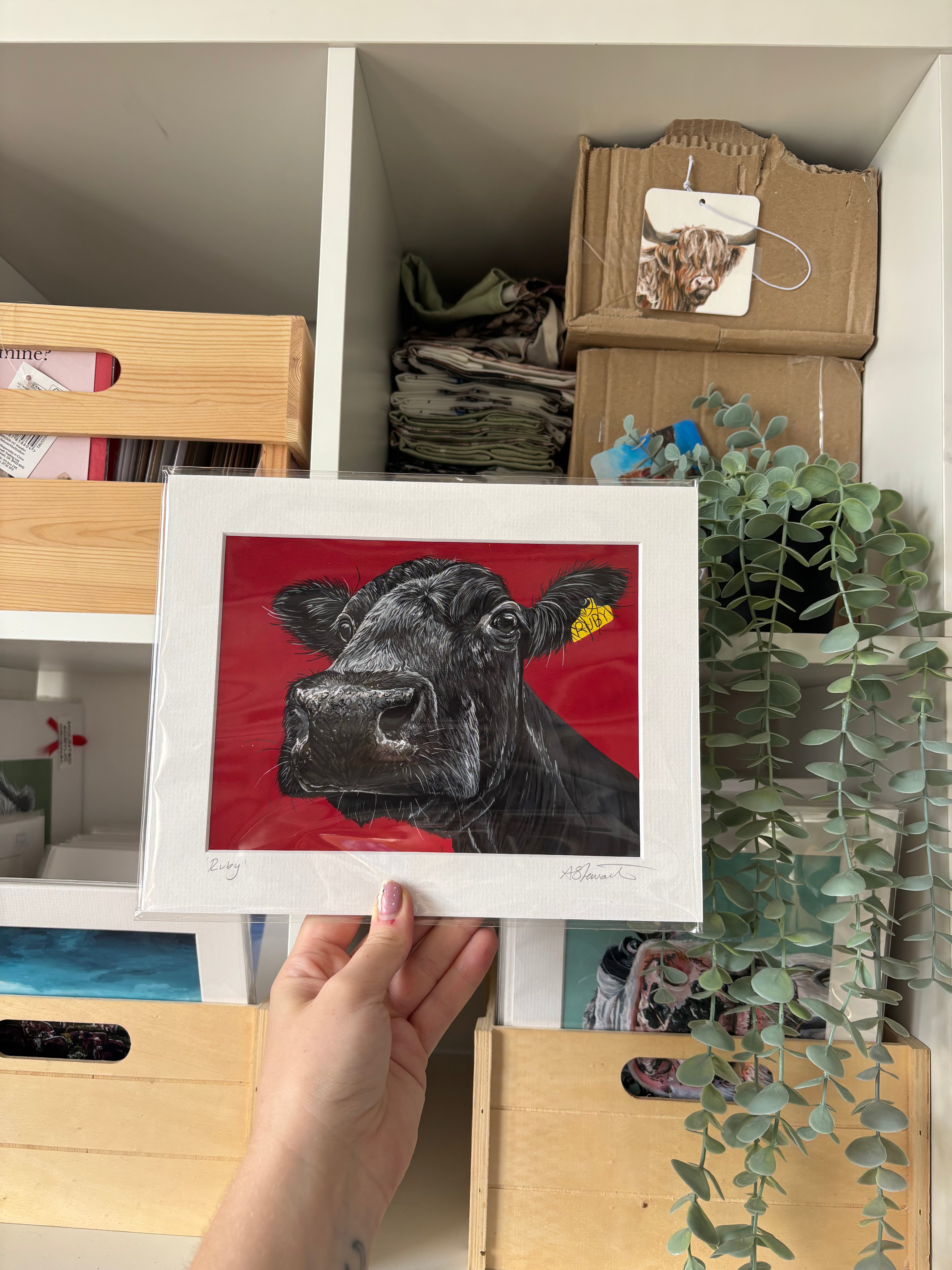 'Ruby' Cow Mounted Print