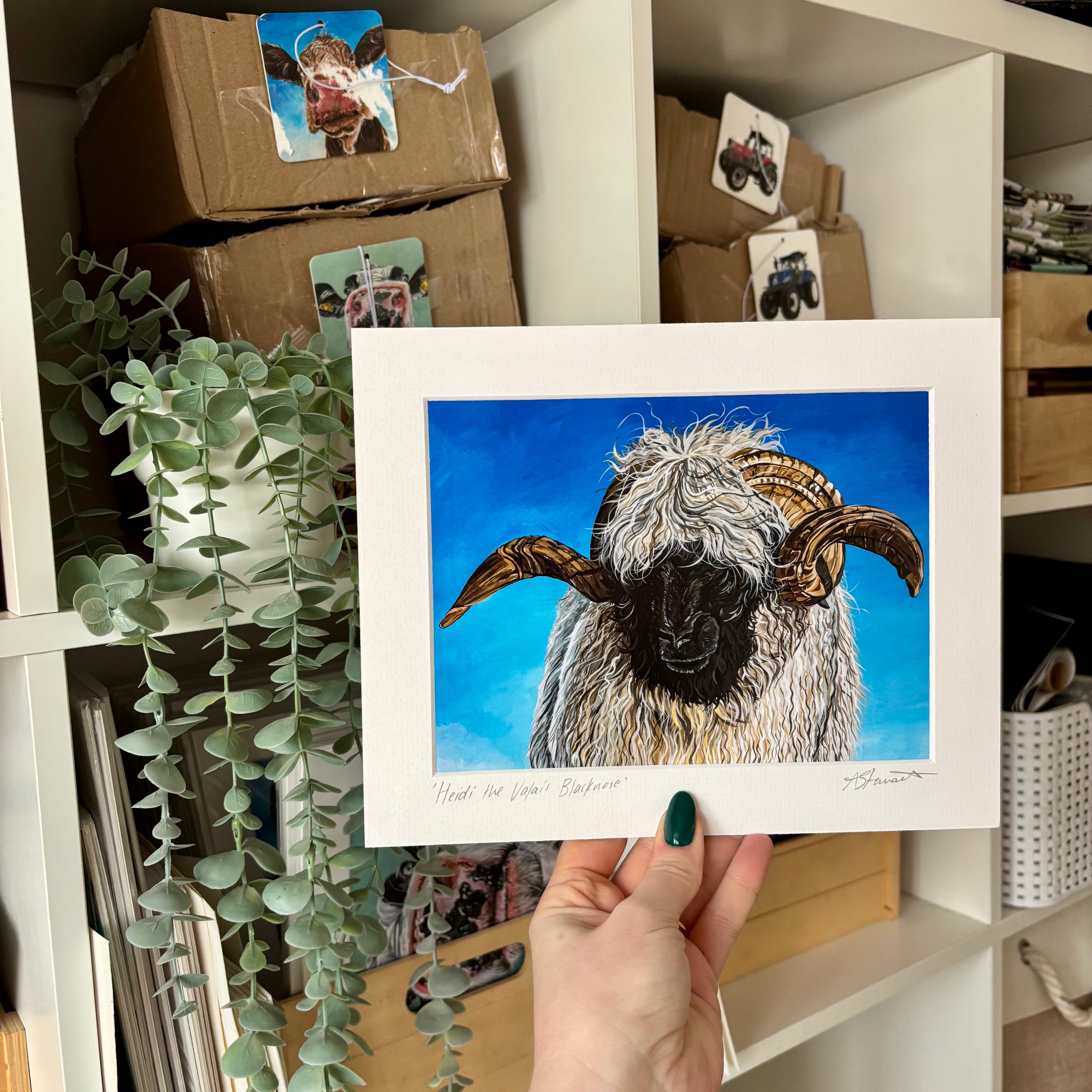 ‘Heidi’ The Valais Blacknose Print