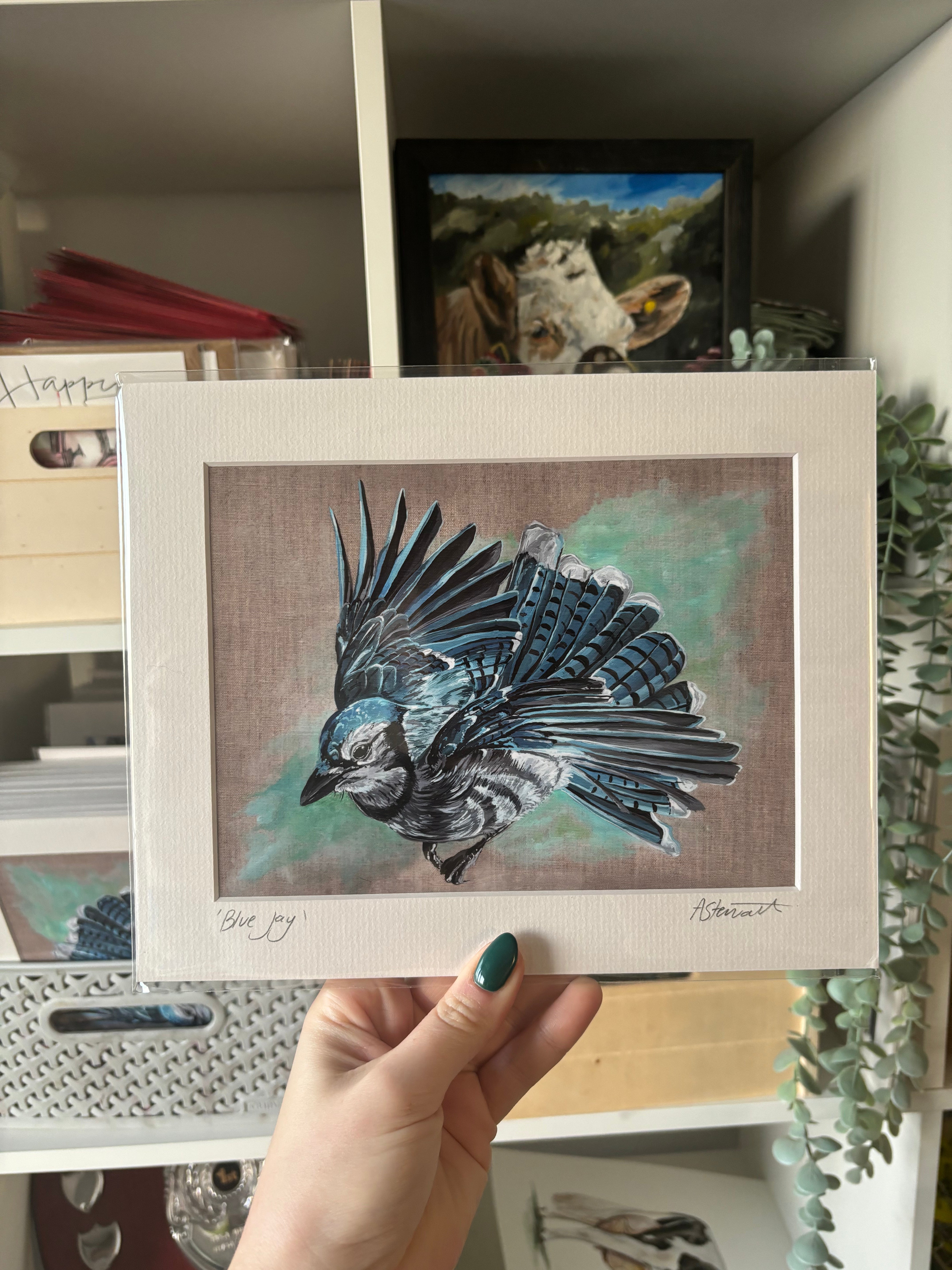 Blue Jay on Linen Mounted Print