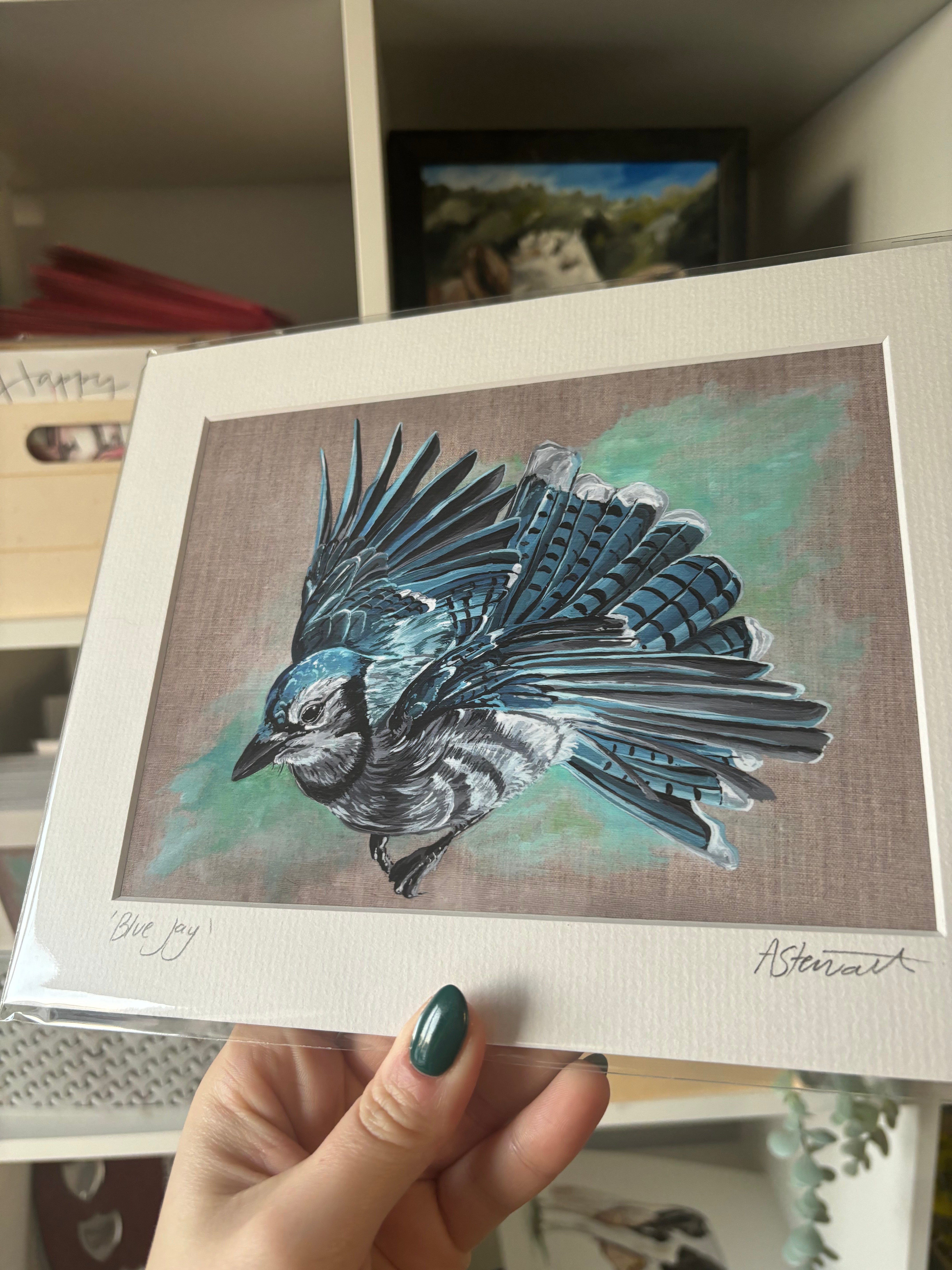 Blue Jay on Linen Mounted Print