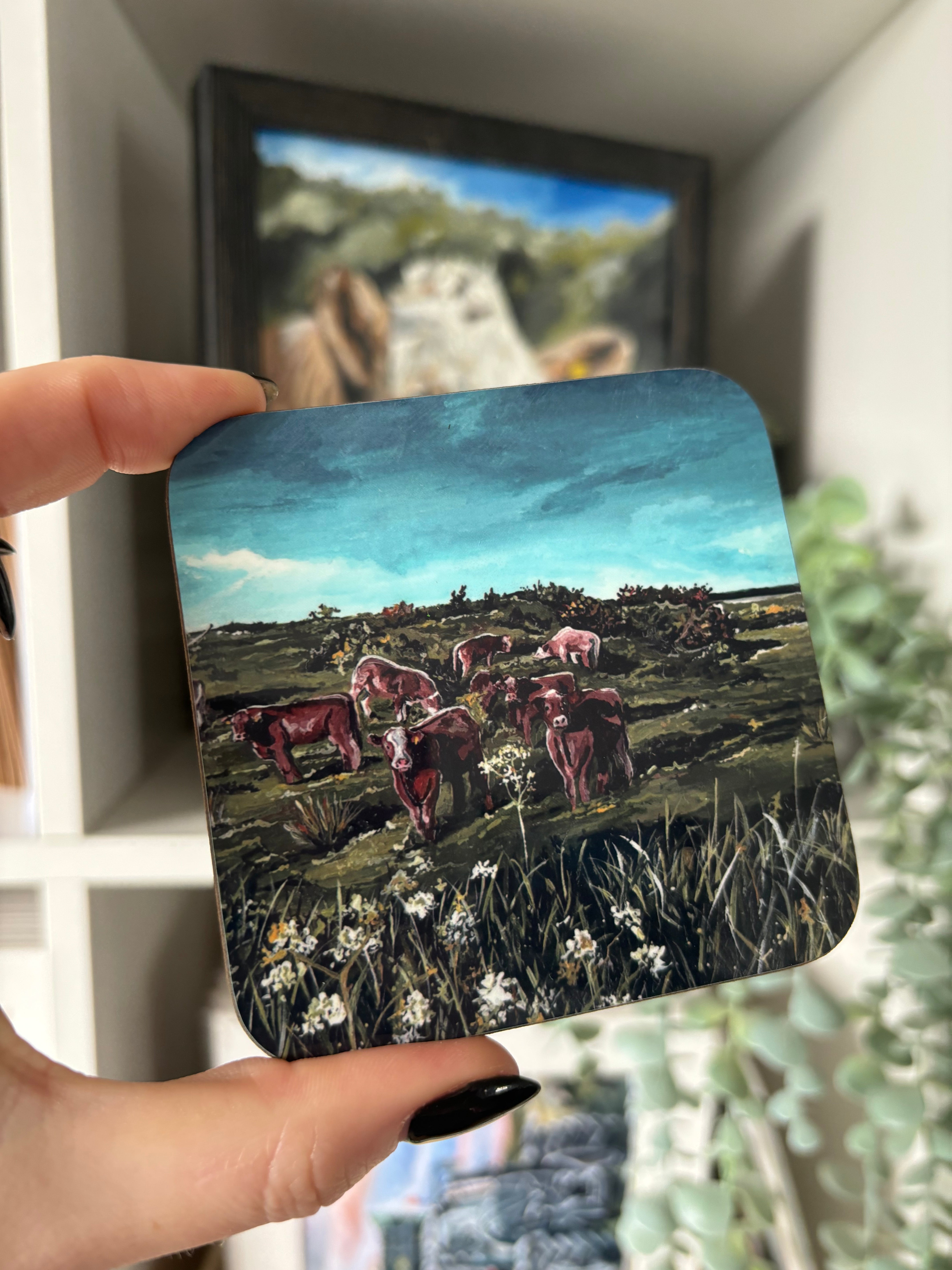 'The Meadow' Coaster