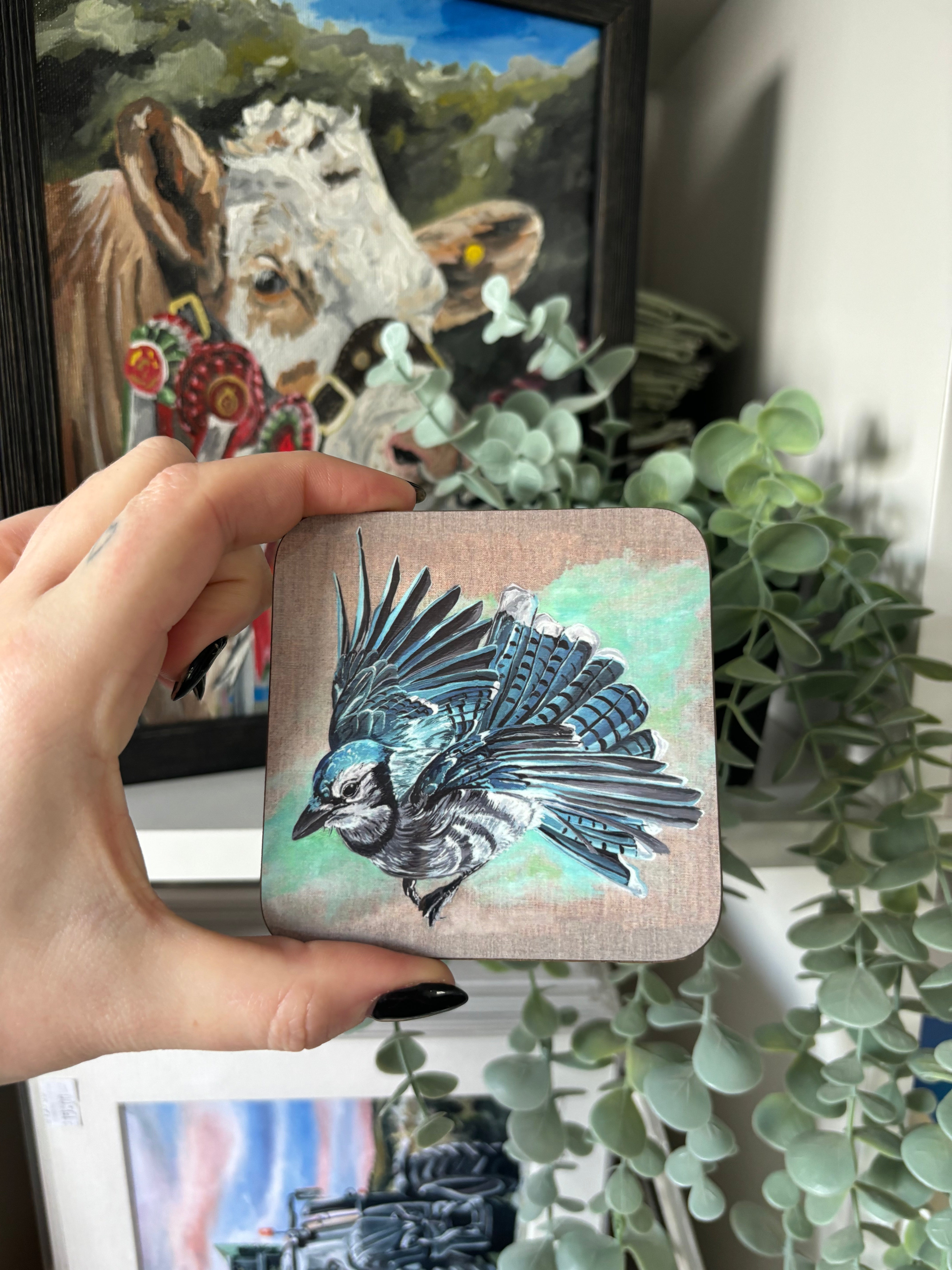 Blue Jay Coaster