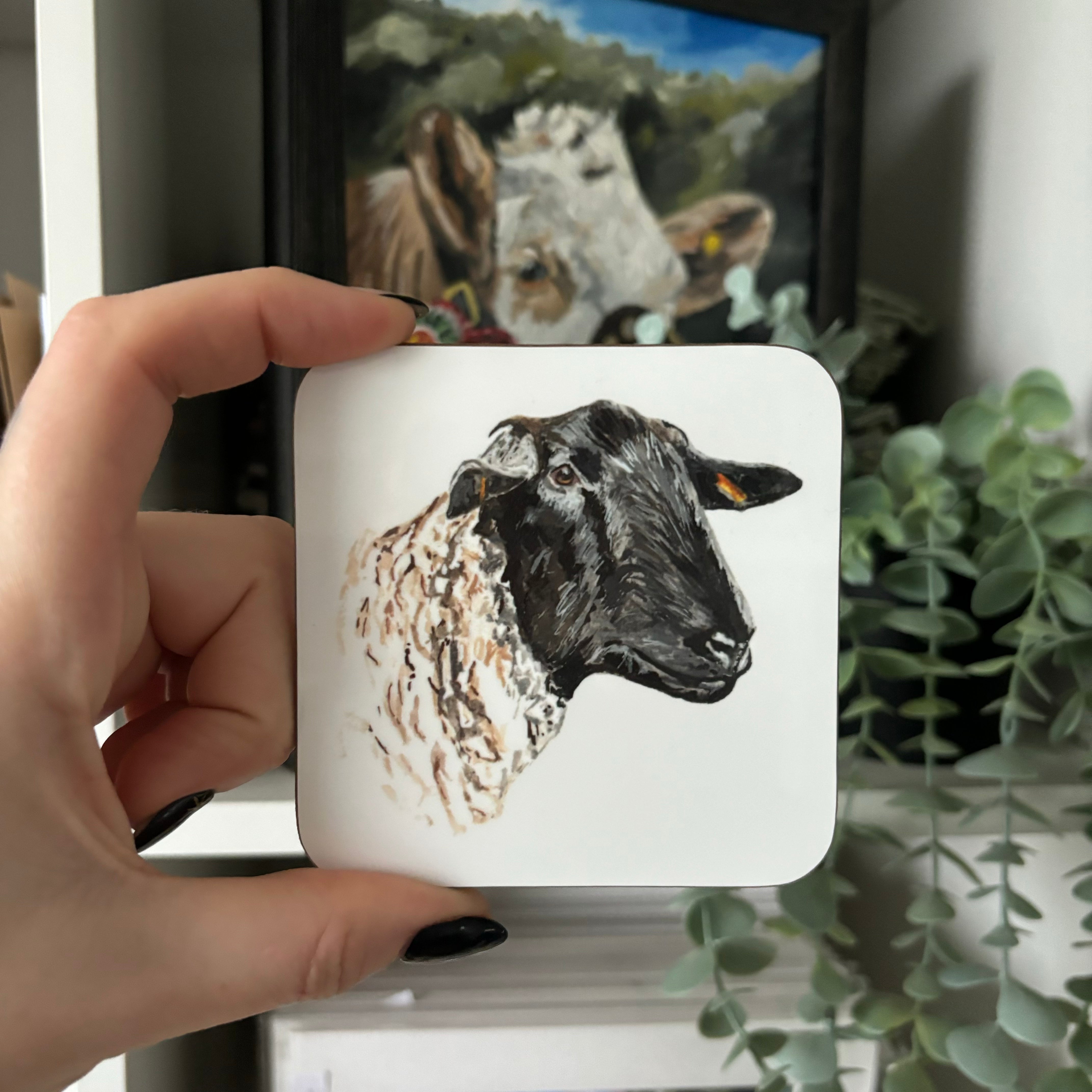 Suffolk sheep coaster