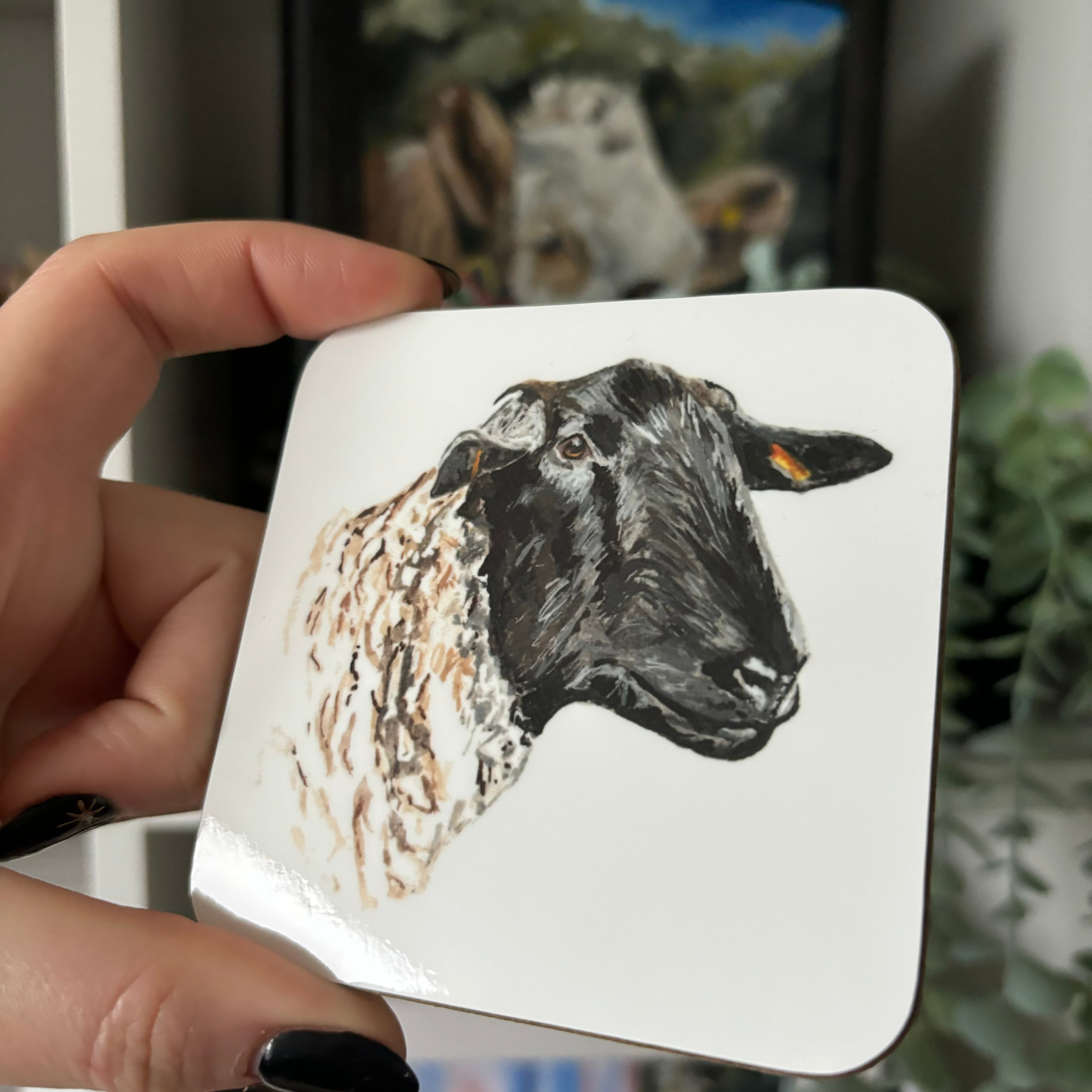 Suffolk sheep coaster