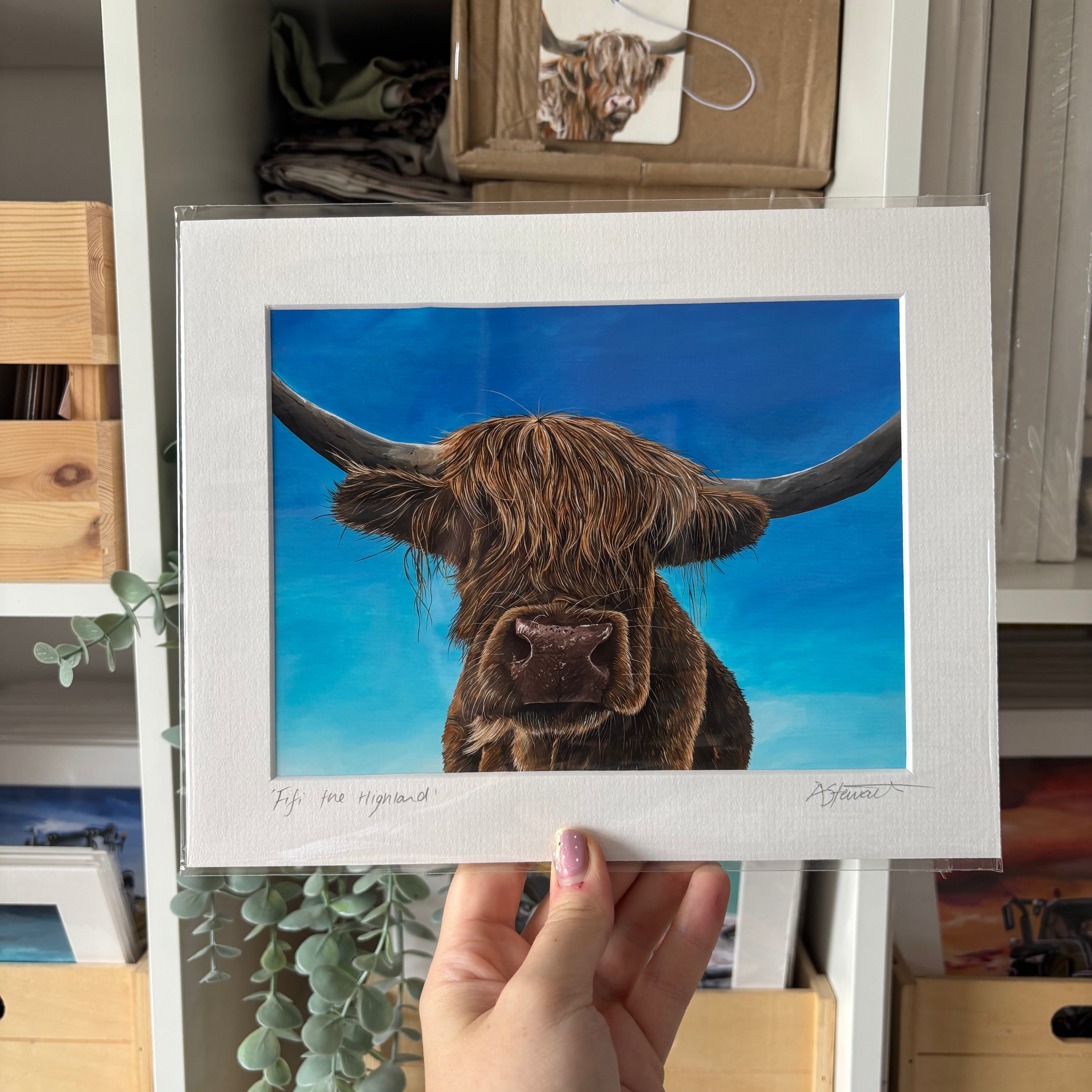 'Fifi" Highland Cow Mounted Art Print