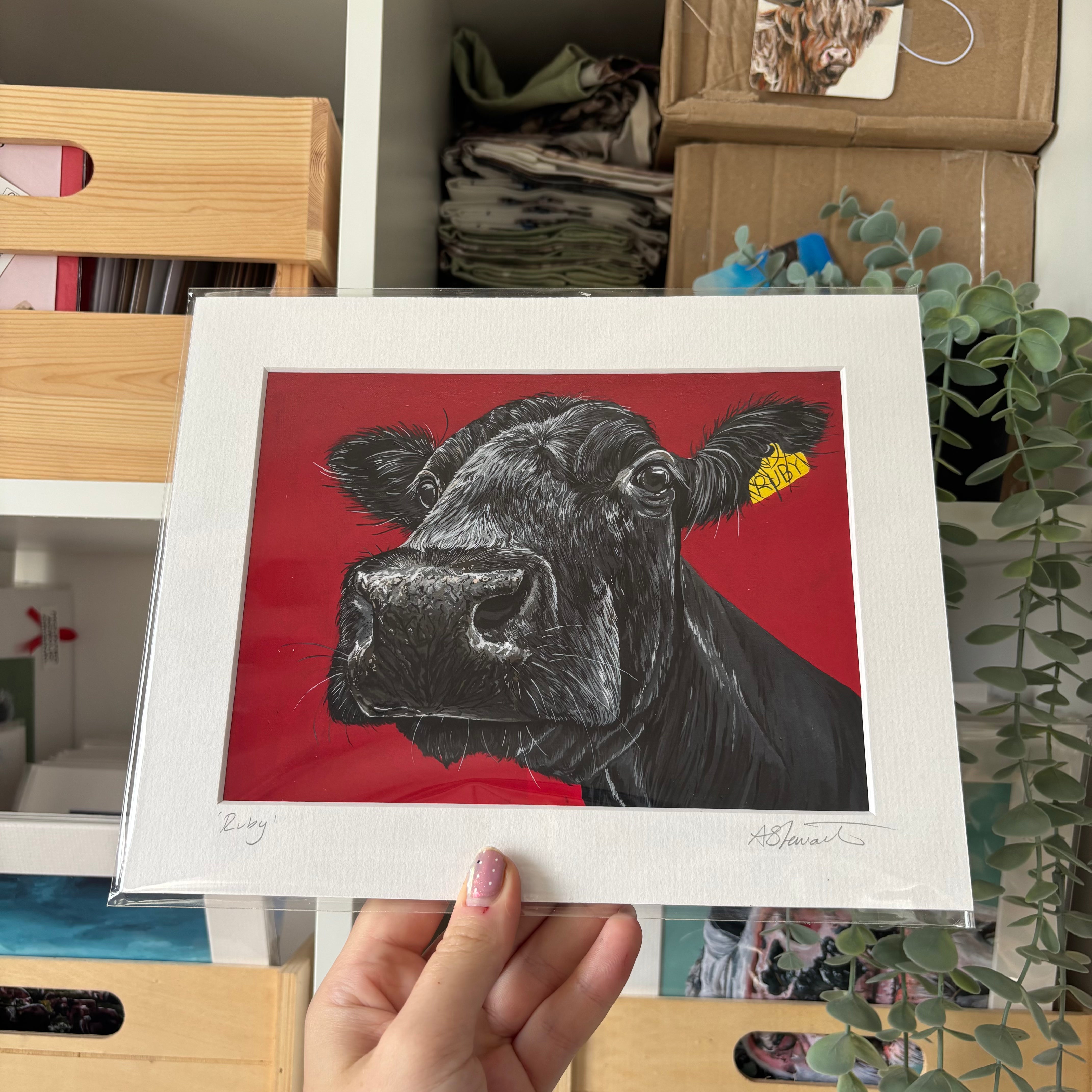 'Ruby' Cow Mounted Print