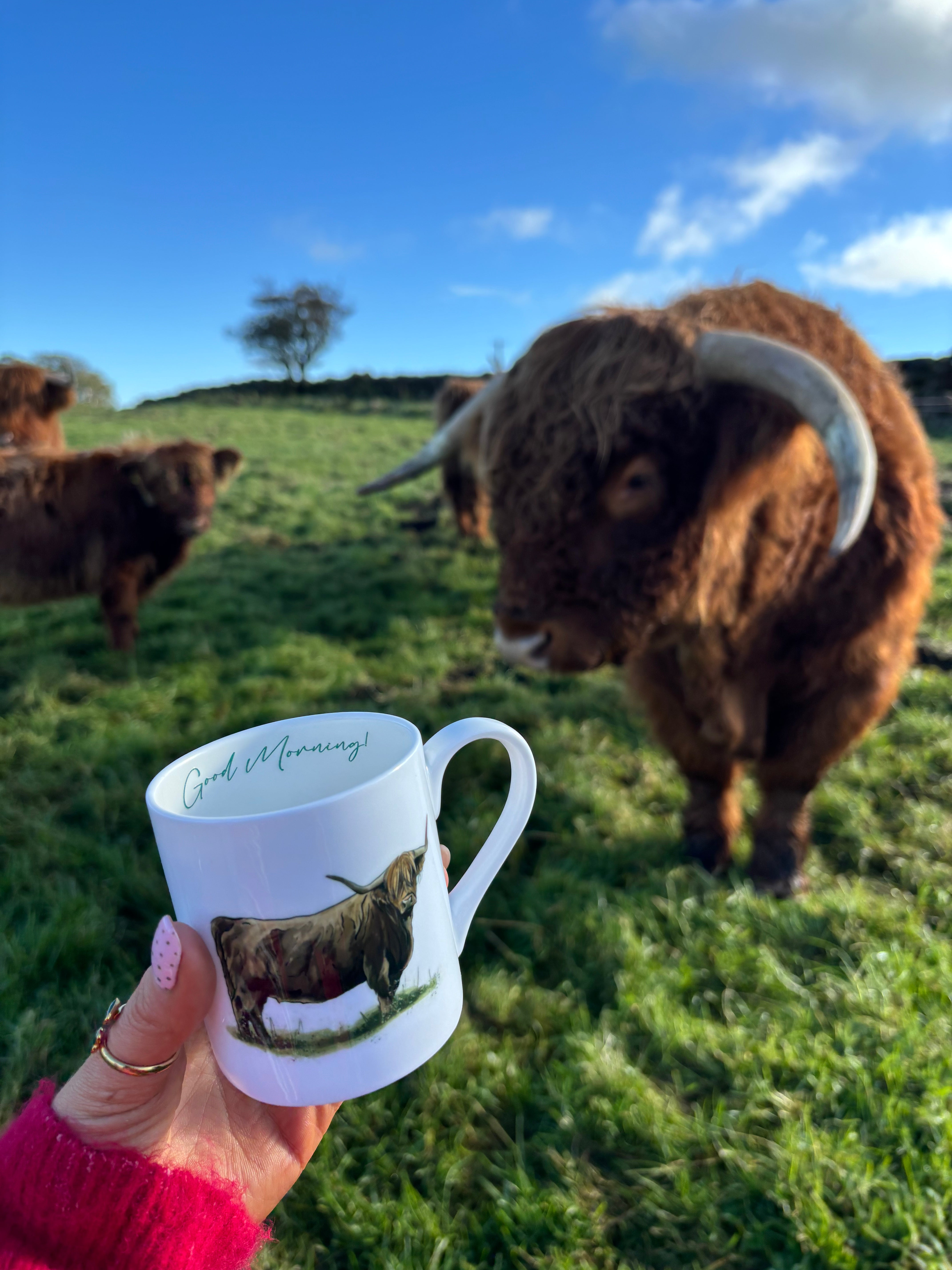 Highland Cow Bone China Mug