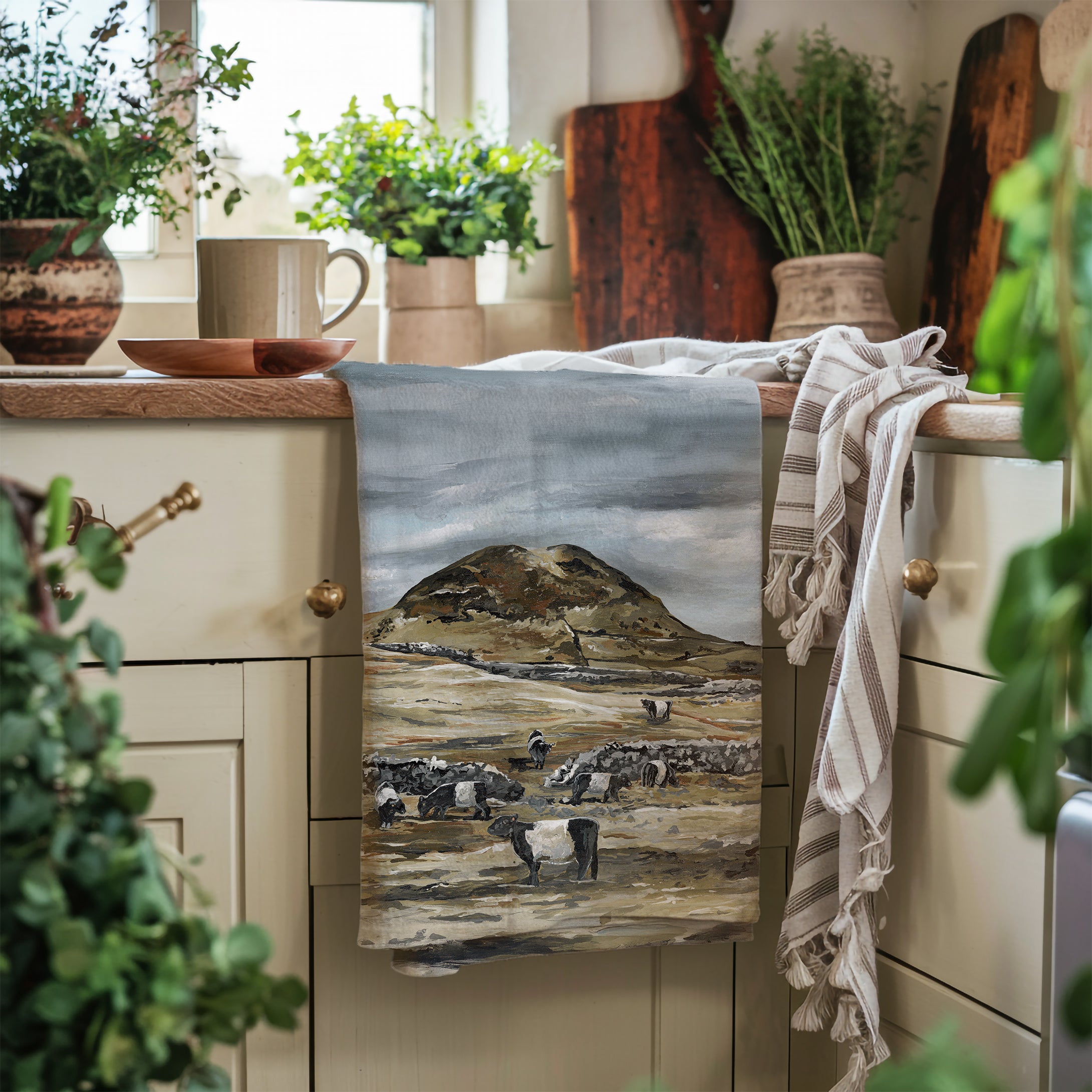 Belties At Slemish Tea Towel