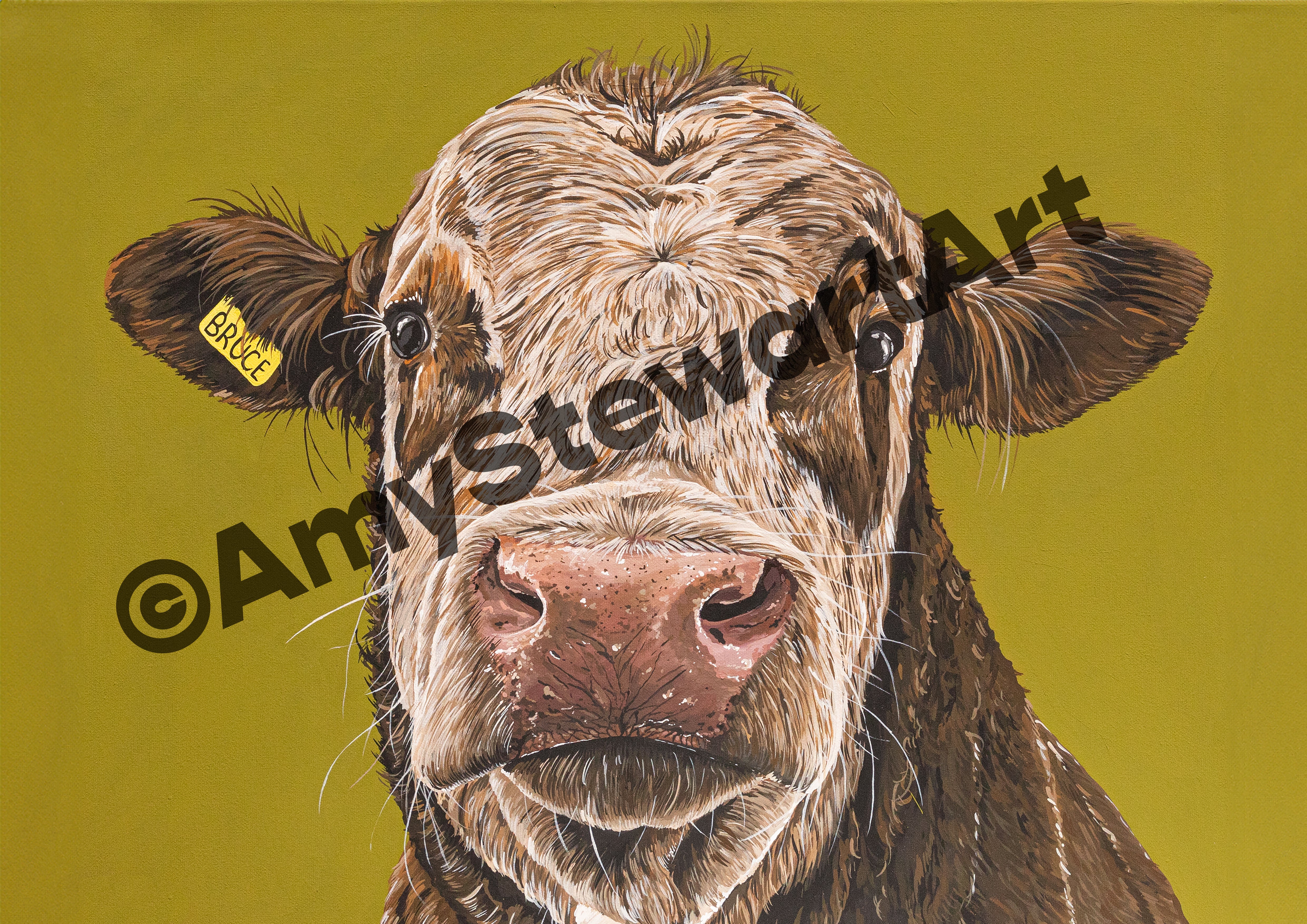 ‘Bruce’ Acrylic Canvas Original