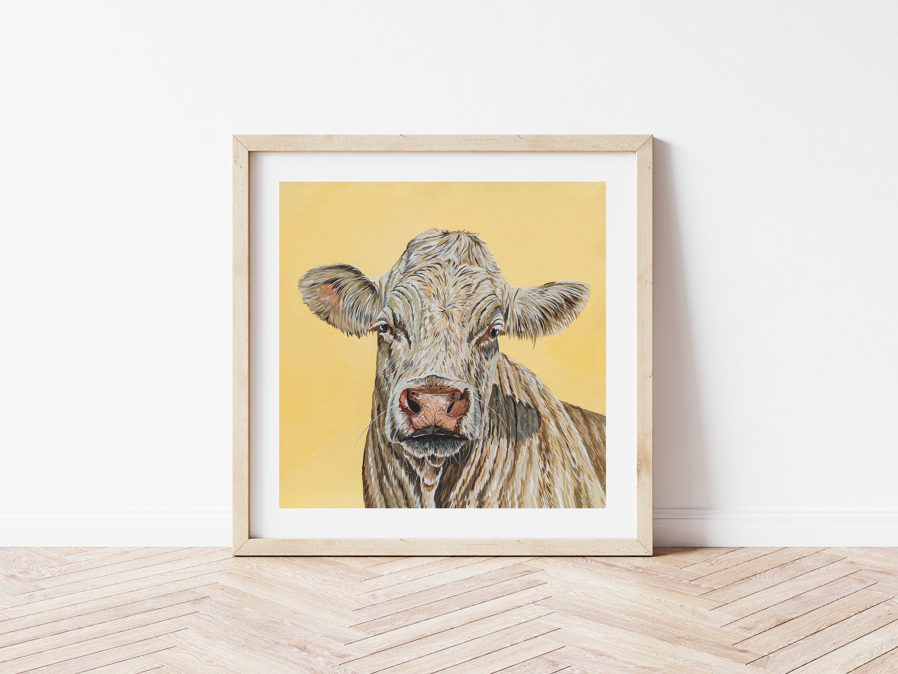 "Magnolia" Charolais Cow Art Print