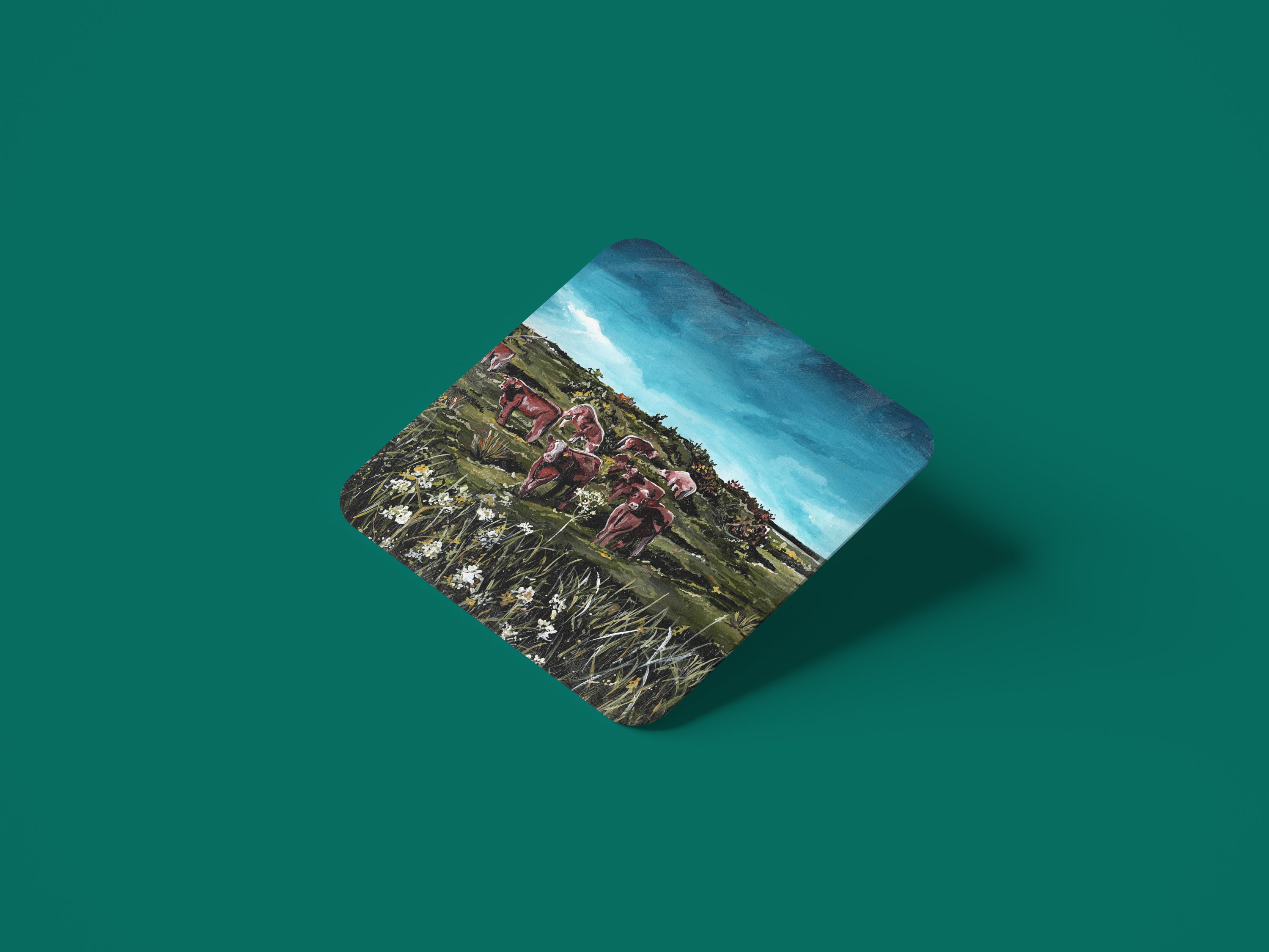 'The Meadow' Coaster