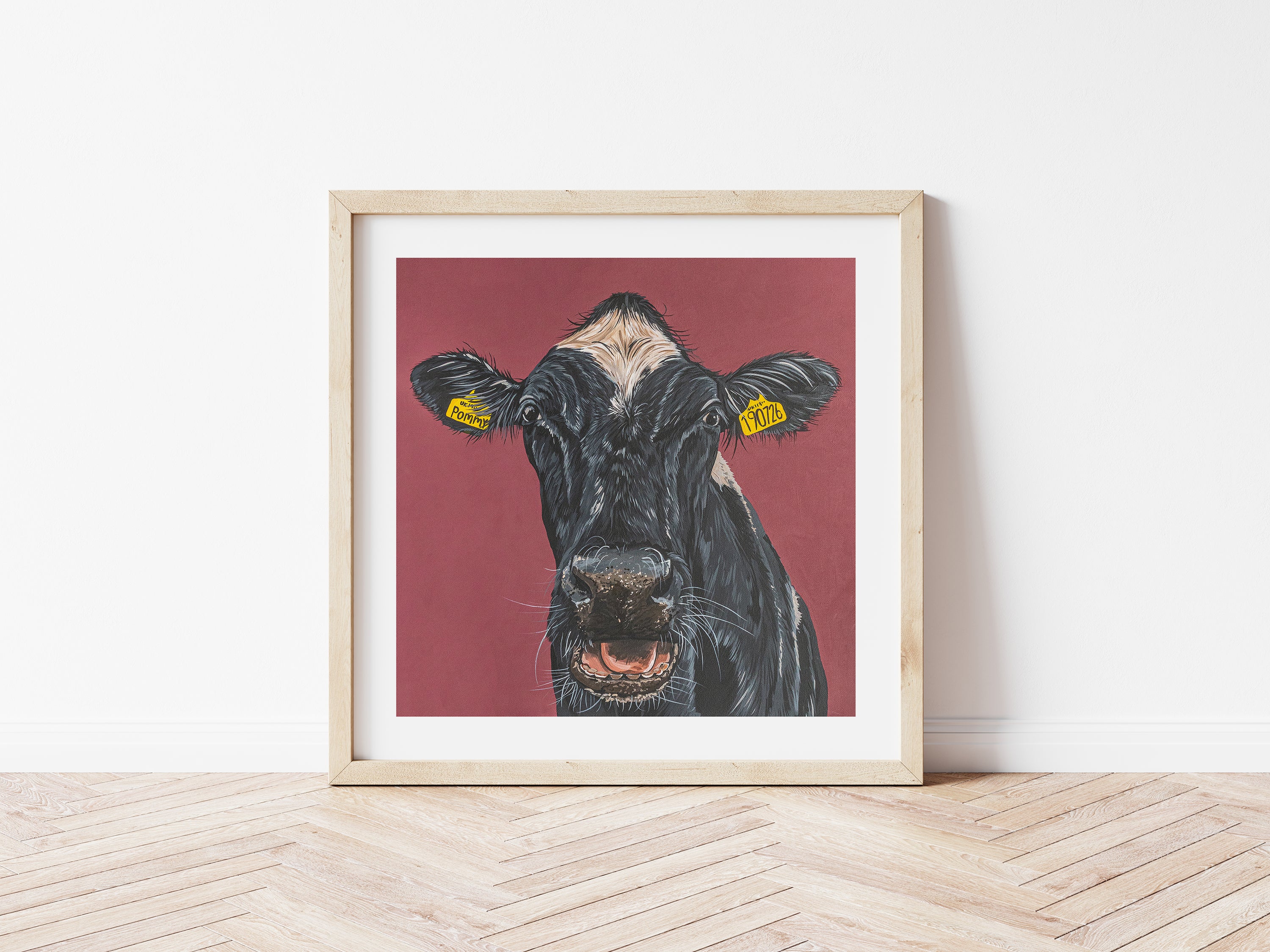 'Pommy' The Cow Fine Art Print