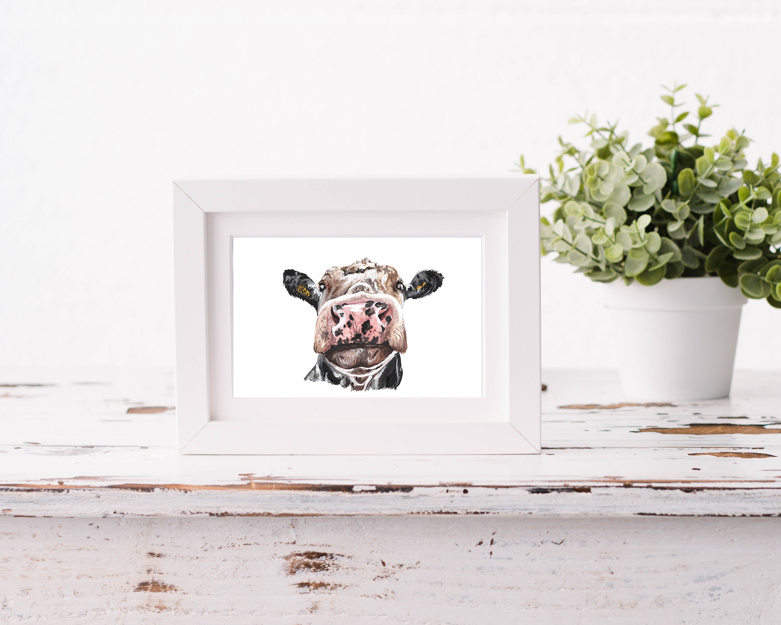 A5 Cheeky cow Print