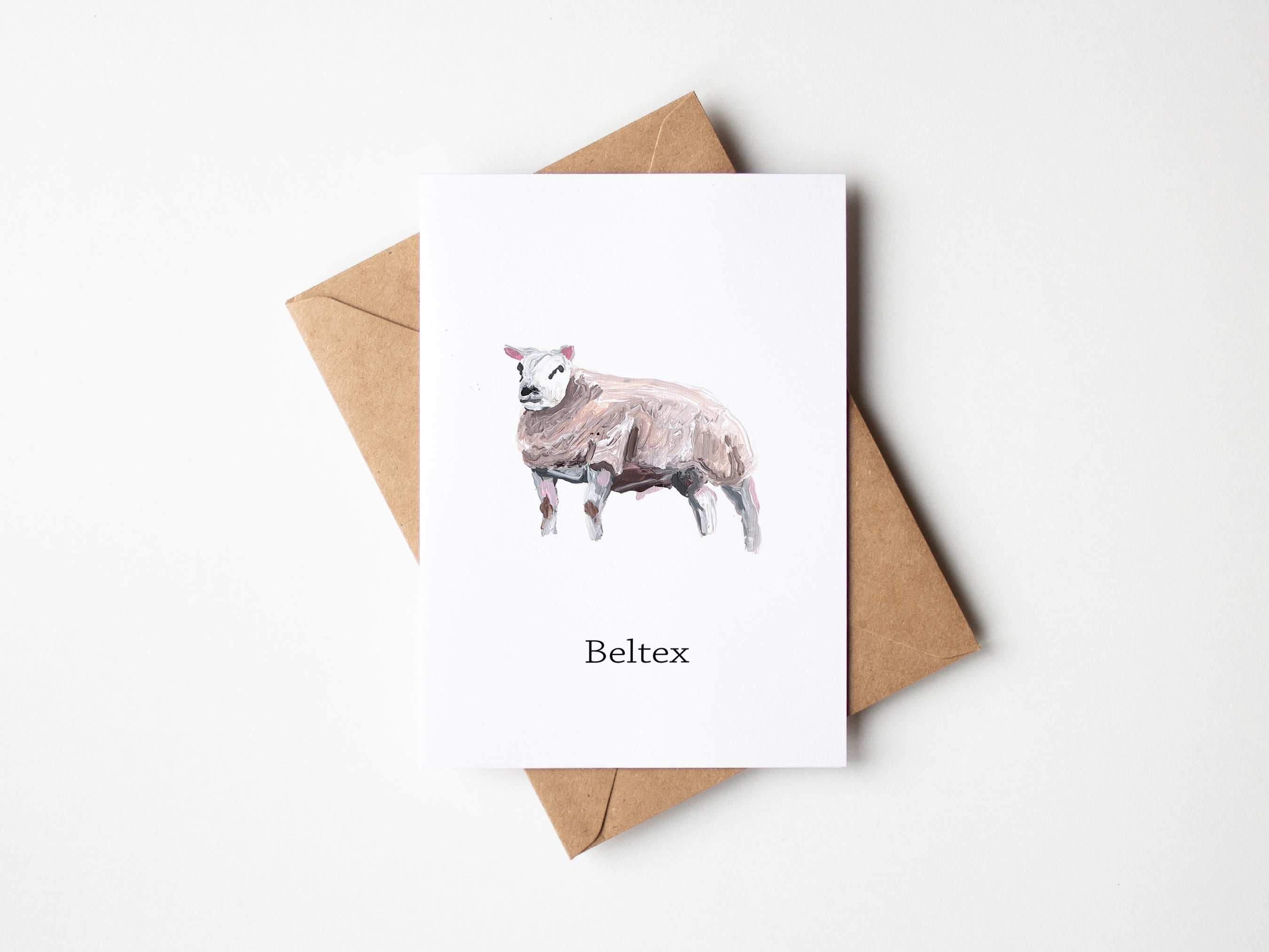 A6 Beltex sheep Breed Card