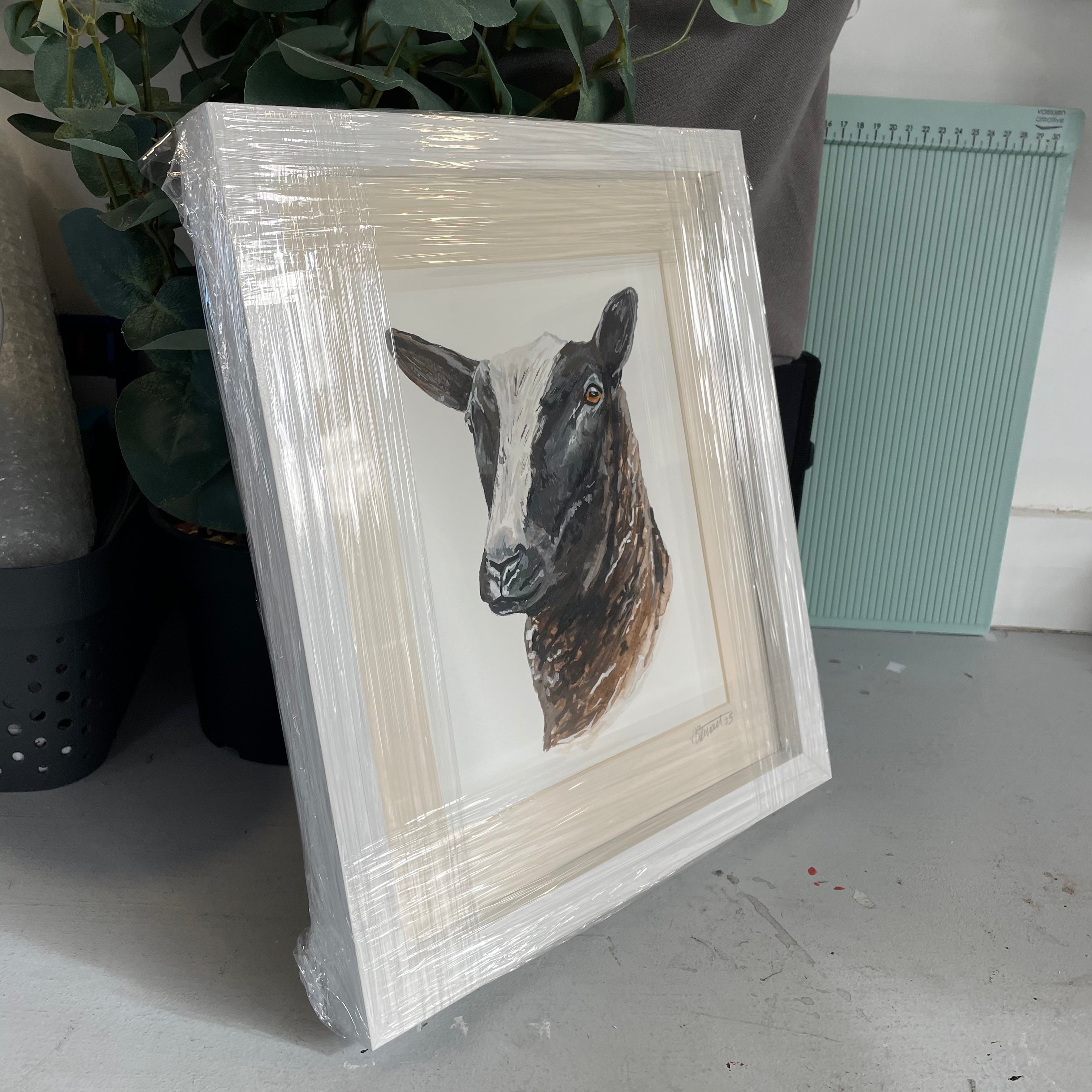 Original Framed Zwartble Sheep Watercolour Illustration