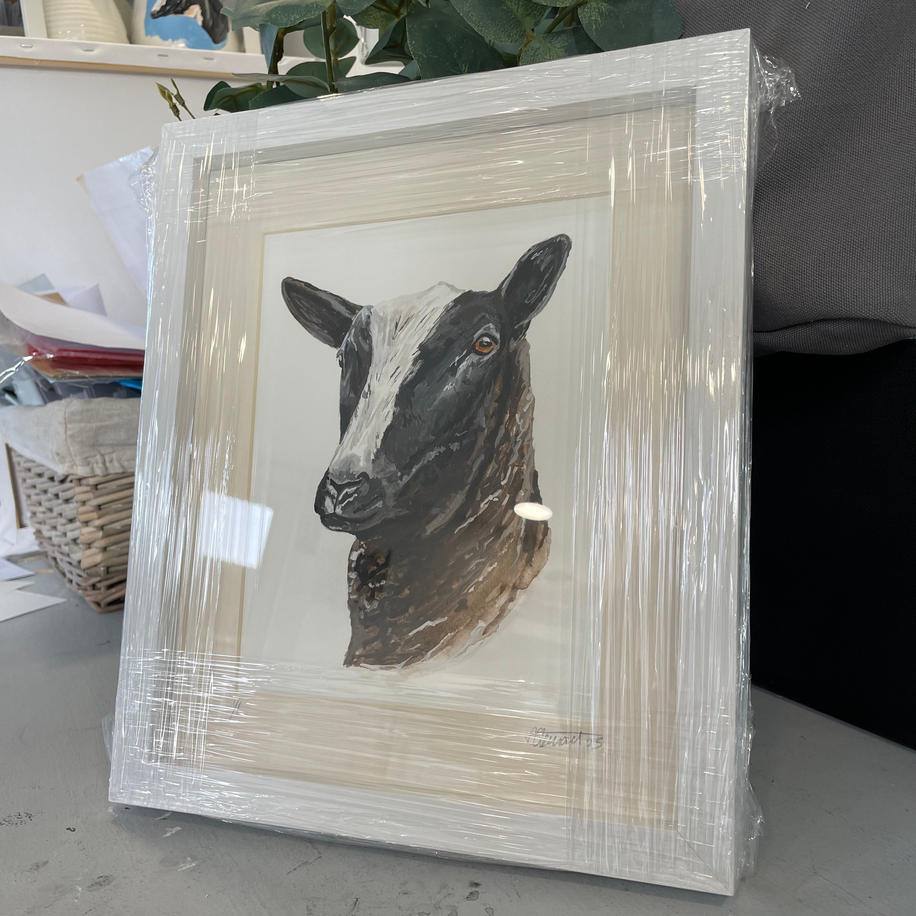 Original Framed Zwartble Sheep Watercolour Illustration